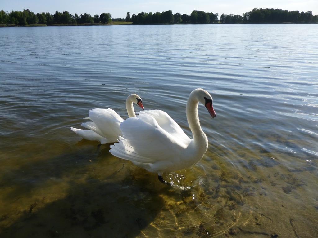 Silaine Recreation & Leisure Bed and Breakfast Oszkinie Buitenkant foto