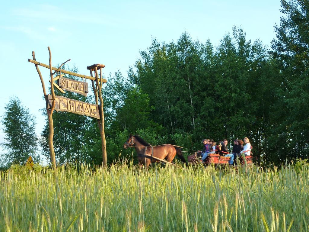 Silaine Recreation & Leisure Bed and Breakfast Oszkinie Buitenkant foto