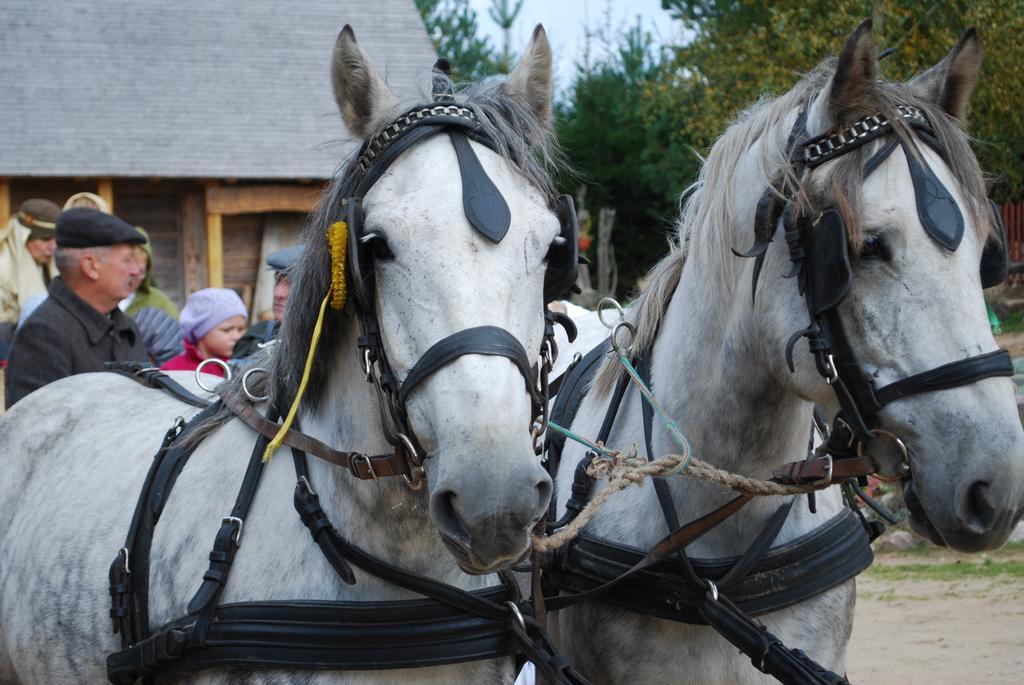 Silaine Recreation & Leisure Bed and Breakfast Oszkinie Buitenkant foto